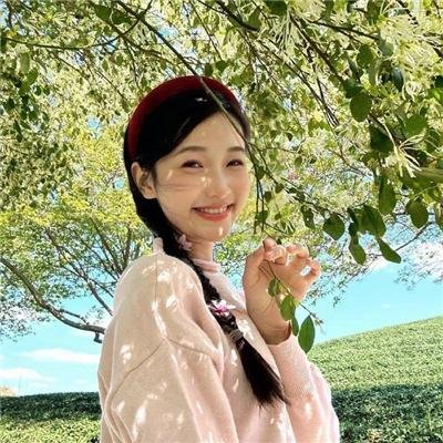 顽童怪盗